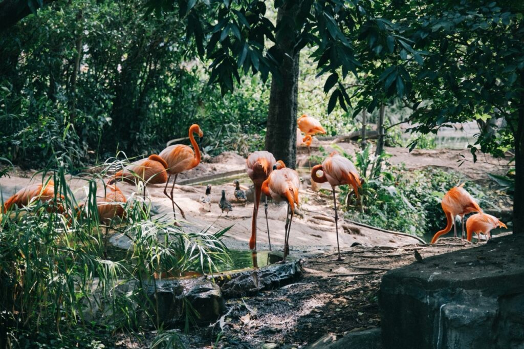 Calgary Zoo